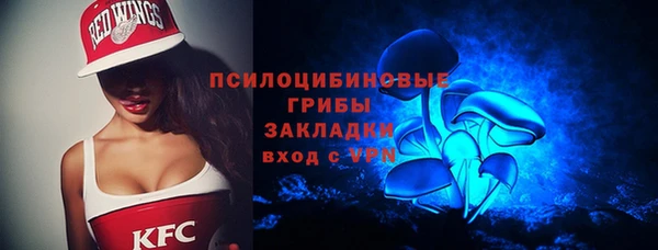 дживик Баксан