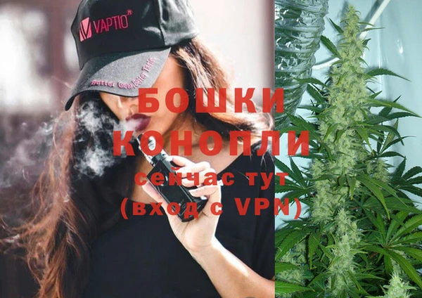 дживик Баксан